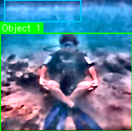 Underwater diver image: detected