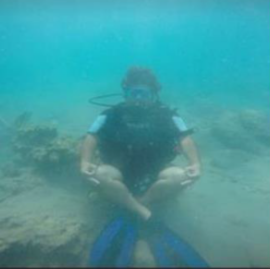 Underwater diver image: original
